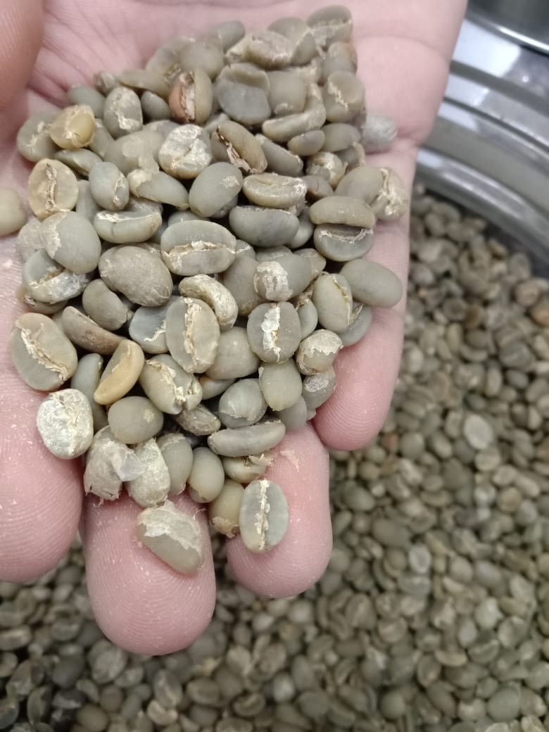 2bbc2f16-4564-4f52-b3e4-f1bd659cfe27