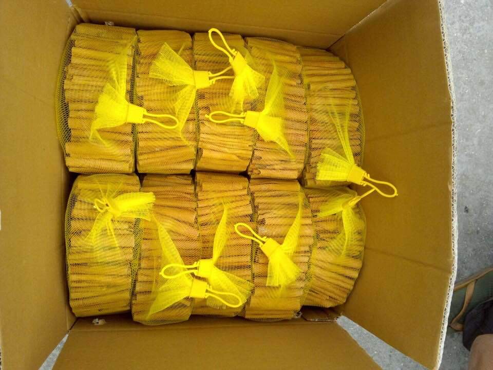 336e02aa-6509-47b7-8b31-8dd18806a4ea