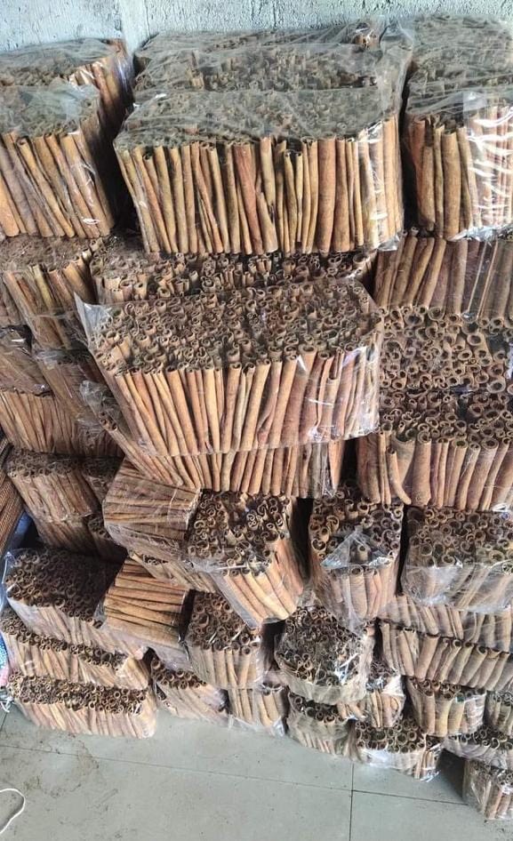 442f0471-ecb3-41e7-8c9c-68a7a0817b22