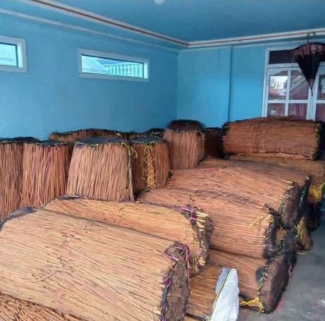 c81a53b0-99d9-4c3f-ac78-974641db1c8f