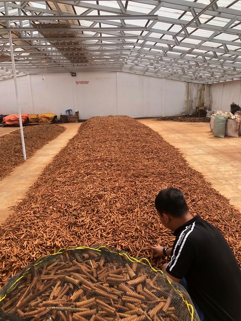 d50c622e-6f54-46f0-a585-3d1fb4695c87